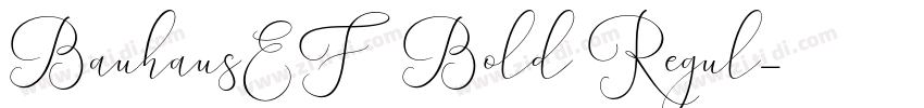 BauhausEF Bold Regul字体转换